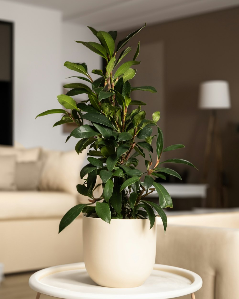 Lifelike potted plant in a ceramic planter styled in a bright living room